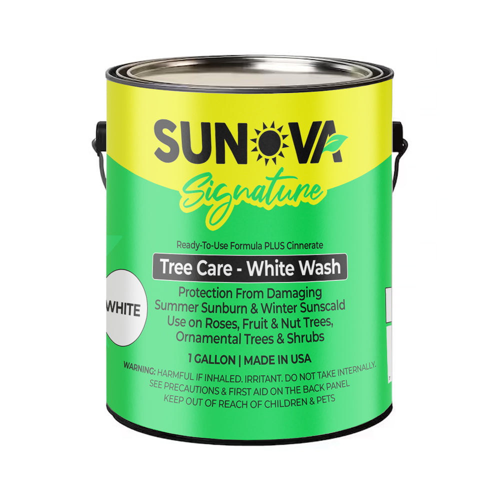 SUNOVA Signature White Wash Tree Paint (1 Gallon)